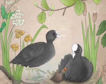 Pre-order Fabric panel coots chicken river bank quilting  on dark cream 30.5 cm square quilting cotton