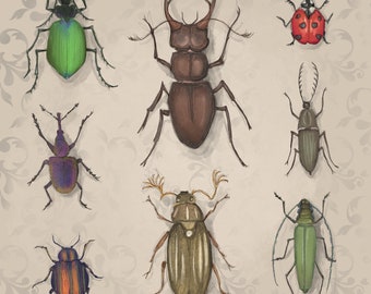 Vintage beetles printed panel on quilting cotton 30.5 by 30.5 cms