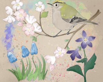 Spring Goldcrest and flowers printed panel on quilting cotton 30.5 by 30.5 cms