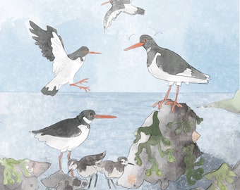 Pre-order Greeting card oystercatchers on blue 145mm square blank inside