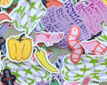misfit packs | mystery sticker packs | oops sticker packs | b grade stickers | discounted stickers | sticker pack | laptop decal | lucky dip