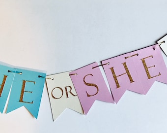 Gender Reveal set