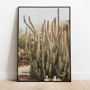 Organ Pipe Cactus in Arizona Desert Print for Digital Download image 1