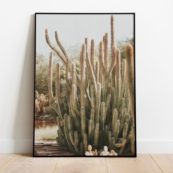 Organ Pipe Cactus in Arizona Desert Print for Digital Download