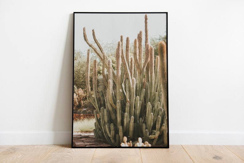 Organ Pipe Cactus in Arizona Desert Print for Digital Download image 1