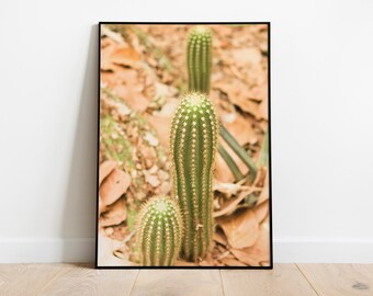 Tiny Cactus Red Desert Art Print para descarga digital