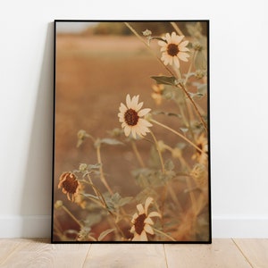 Sunflowers in a Field Print for Digital Download