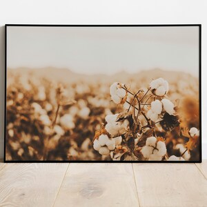 Cotton Field in Arizona Desert Print for Digital Download