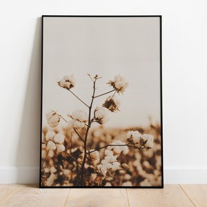 Cotton Field in Arizona Desert Print for Digital Download