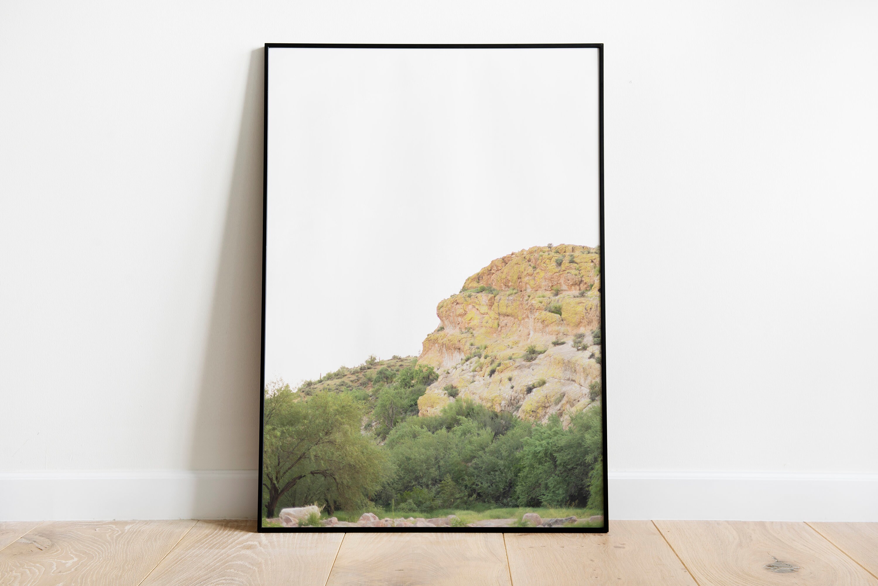 Saguaro Salt River Arizona Superstitions Mountains Print for Digital Download