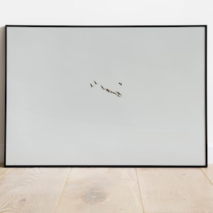 Birds in Flight Art Print for Digital Download