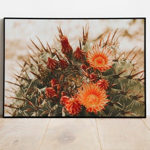 Cactus Florals in Arizona Desert Print for Digital Download