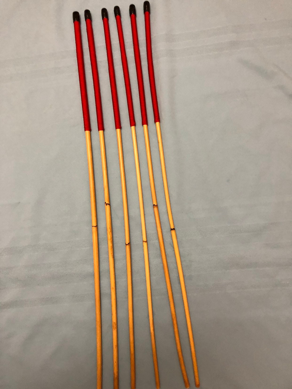 Six of the Best Set of 6 Classic Dragon Rattan Punishment Canes