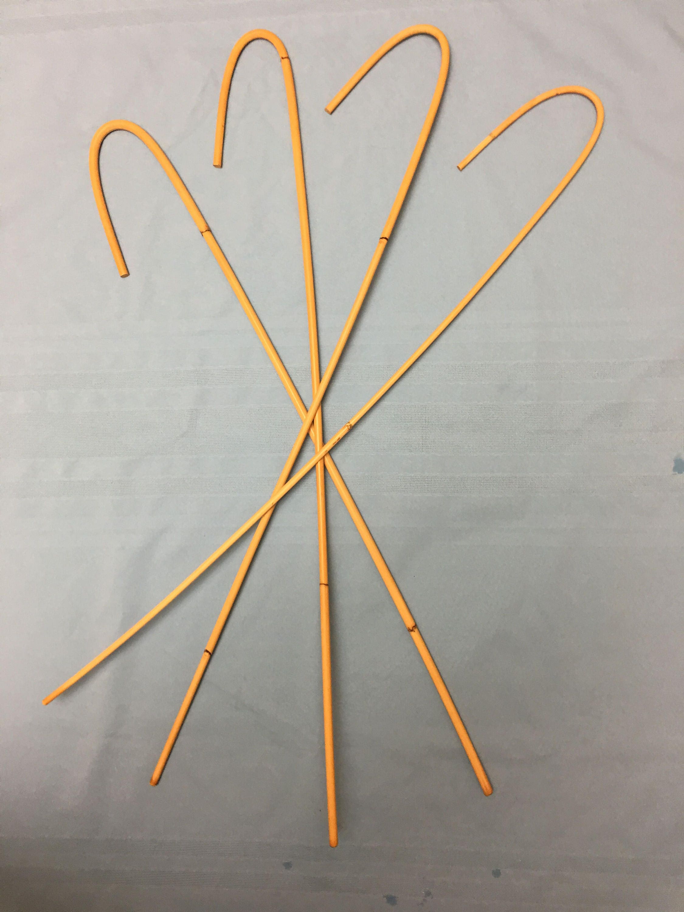 Victorian Discipline Quartet Set of 4 Classic Dragon Rattan School