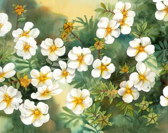 Spirit of Hope, GICLÉE PRINT of my original watercolor painting, floral painting, watercolor flower, potentilla, fine art, esperoart.
