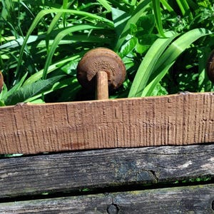 May include: A wooden shelf with three round, brown, wooden knobs. The shelf is made of rough-hewn wood and has a rustic look.