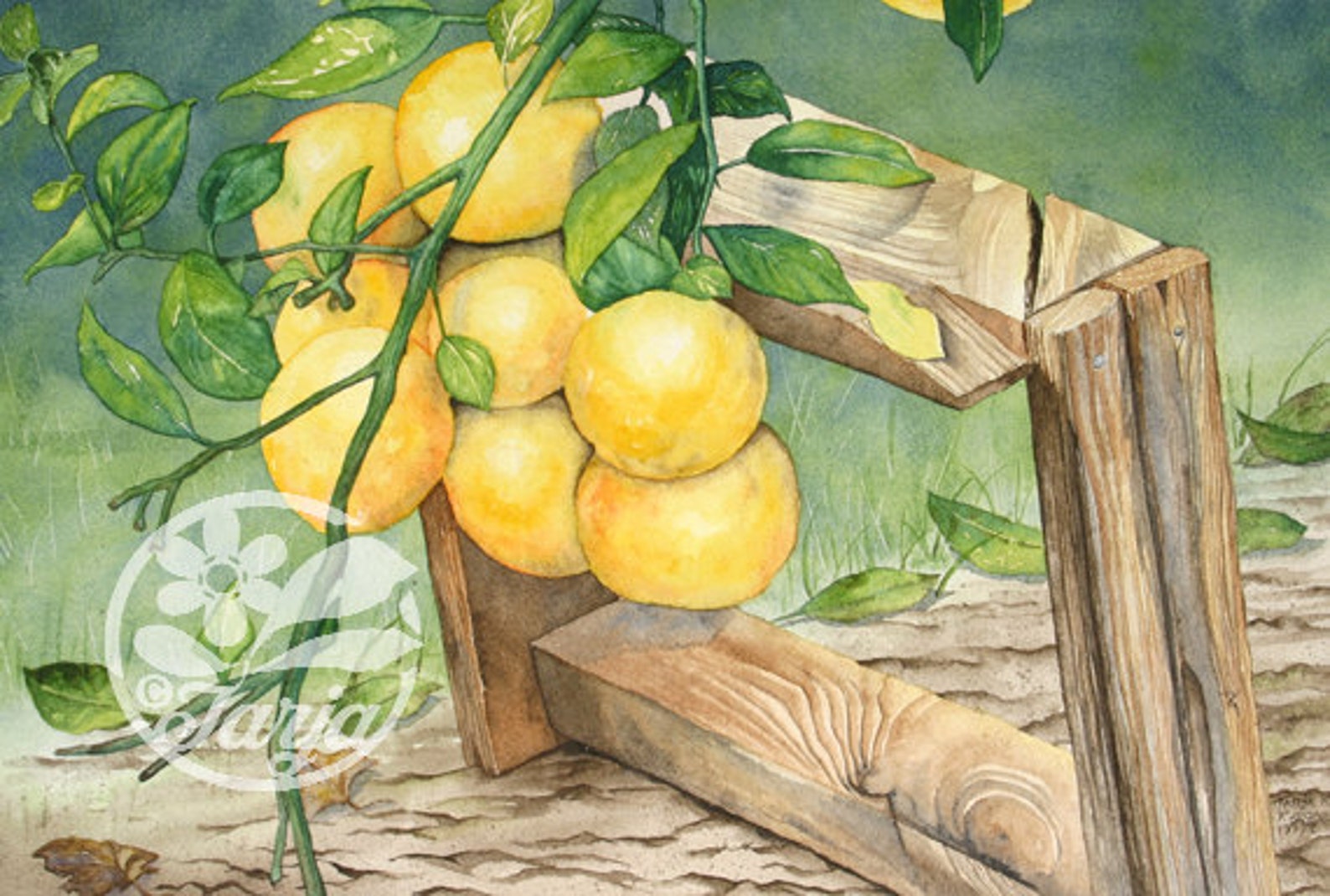 Lemons Giclee Print of an Original Watercolour Illustration. Etsy
