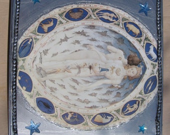 Zodiac Astrology Box