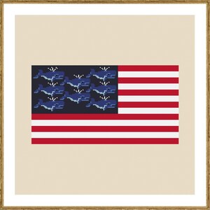 May include: A blue and white American flag with a row of whales in the top left corner.