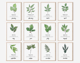 12 Month Birth Tree Birth Wood Watercolor Printables | Birth Month Custom Digital Wall Decor | Nature Inspired Gift