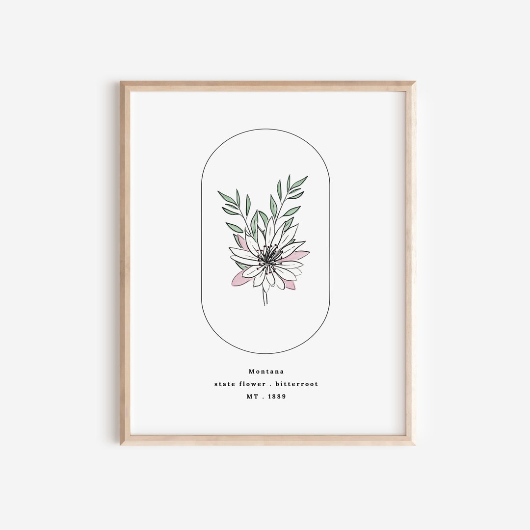 Montana State Flower Bitterroot Watercolor Floral Art Printable Etsy