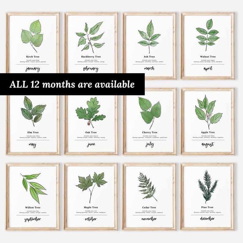 August Apple Tree Birth Wood Printable | Sketch & Watercolor Art - Etsy