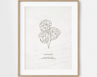 Carnation Flower Unframed Art Print | Floral Illustration Faux Antique Paper Cottagecore Wall Decor