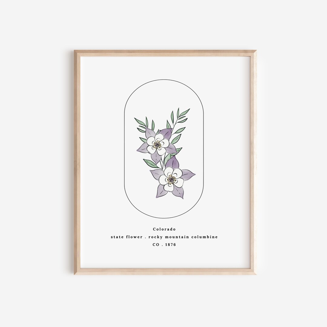 Colorado State Flower | Rocky Mountain Columbine Watercolor Floral Art ...