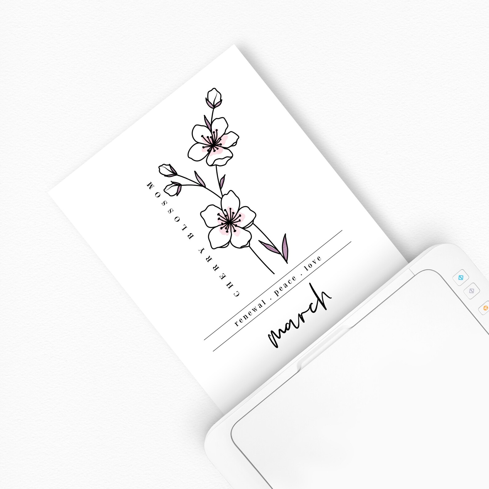 March Cherry Blossom Birth Flower Digital Art Printable Etsy