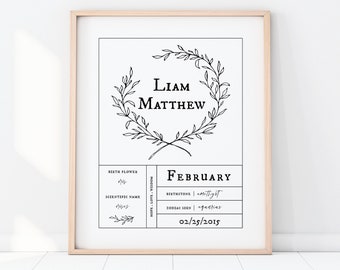 Fenruary Custom Birth Chart Blueprint | Personalized Birth Flower Zodiac Birthstone Print