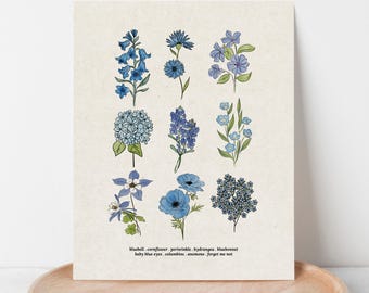 Blue Flower Chart Unframed Art Print | Antique Paper Background | Bluebell Bluebonnet Garden Inspired Art