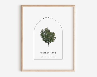April Birth Walnut Tree Printable | Sketch & Watercolor Art