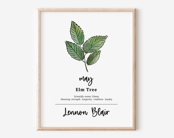 Personalized May Elm Birth Tree Printable | Sketch & Watercolor Art