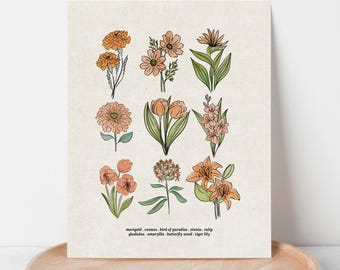 Orange Flower Chart Unframed Art Print | Antique Paper Background | Marigold Cosmos Lily Garden Inspired Art