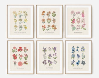 6 Flower Charts Unframed Art Prints | Unframed Antique Style | Yellow Orange Pink Red Purple Blue Floral Garden Inspired Art