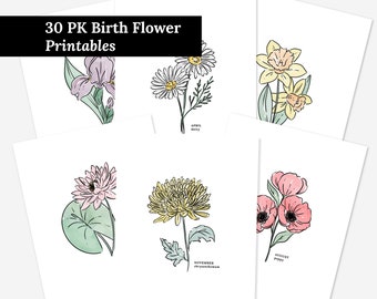 30 Pk Birth Flower Bundle Printables | 12 Months Floral Watercolor Art 30 Illustrated Digital Wall Decor
