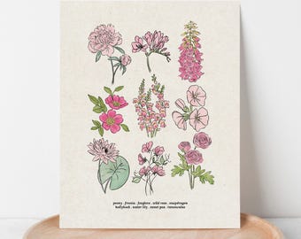 Pink Flower Chart Unframed Art Print | Antique Paper Background | Peony Water Lily Snapdragon Garden Inspired Art
