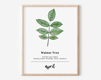 April Walnut Tree Birth Wood Printable | Sketch & Watercolor Art