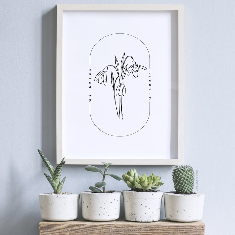 May include: A framed print featuring a minimalist line drawing of snowdrop flowers, with the words "snowdrop" and "january" in a vertical arrangement. Below the frame, four small potted succulents sit on a wooden shelf.
