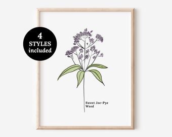 Sweet Joe-Pye Weed Flower Illustration Printables | 4 Styles Included Watercolor Antique Sketched Floral Decor