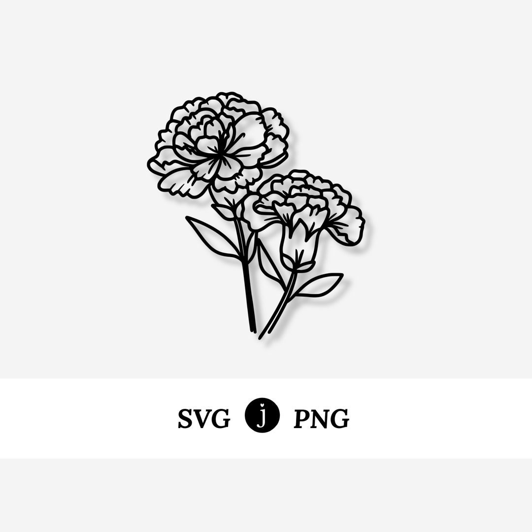 Carnation Flower | Illustrated Svg Png Digital Drawing Graphic | Craft ...