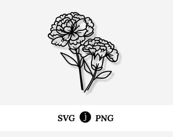 Carnation Flower | Illustrated Svg Png Digital Drawing Graphic | Craft & Cut Files | January Birth Flower | Ohio State Flower