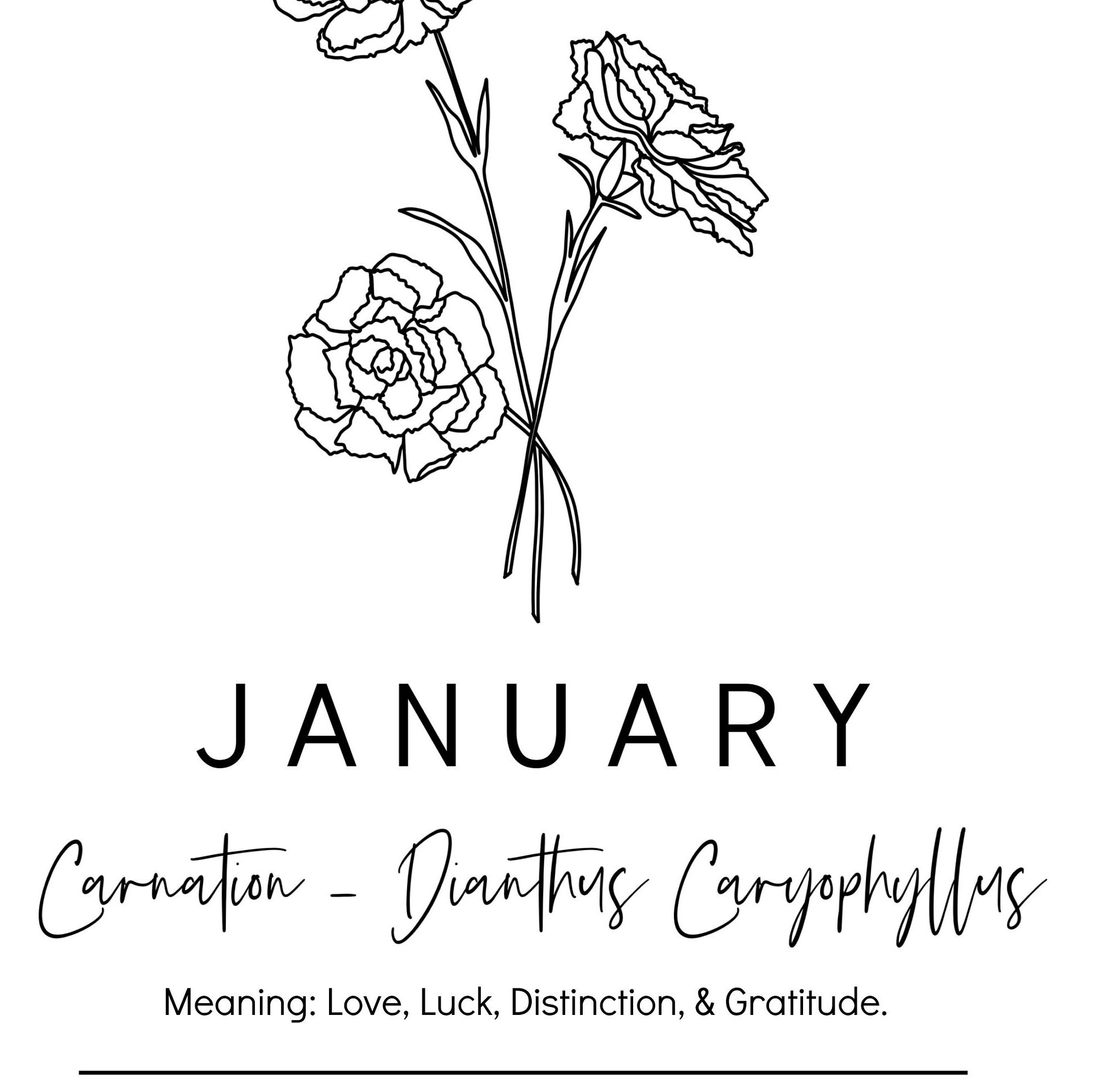 January Birth Flower Carnation Personalized Digital or Etsy
