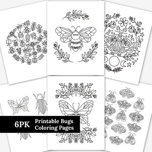6 PK páginas para colorear de insectos imprimibles, impresión y color, arte digital ilustrado naturaleza abeja mariposa escarabajo garabatos