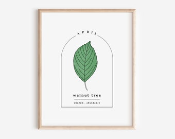 April Birth Walnut Tree Printable | Sketch & Watercolor Art