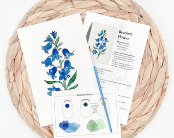 Pick 4 Watercolor Paint Kits | Floral Sketches, Brushes & Palettes | 12 Flower Options