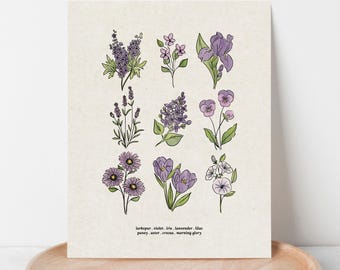 Purple Flower Chart Unframed Art Print | Antique Paper Background | Violet Lavender Hue Garden Inspired Art