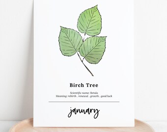 January Birch Birth Tree Printable | Botanical Illustration Birthday Gift