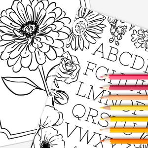 Alfabeto floral: páginas para colorear imprimibles / Flores ilustradas a mano + Probadores de muestras de color