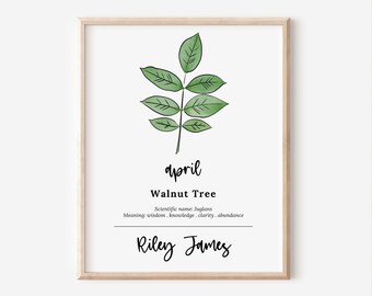 Personalized April Walnut Tree Art Print | Birthwood Watercolor Decor